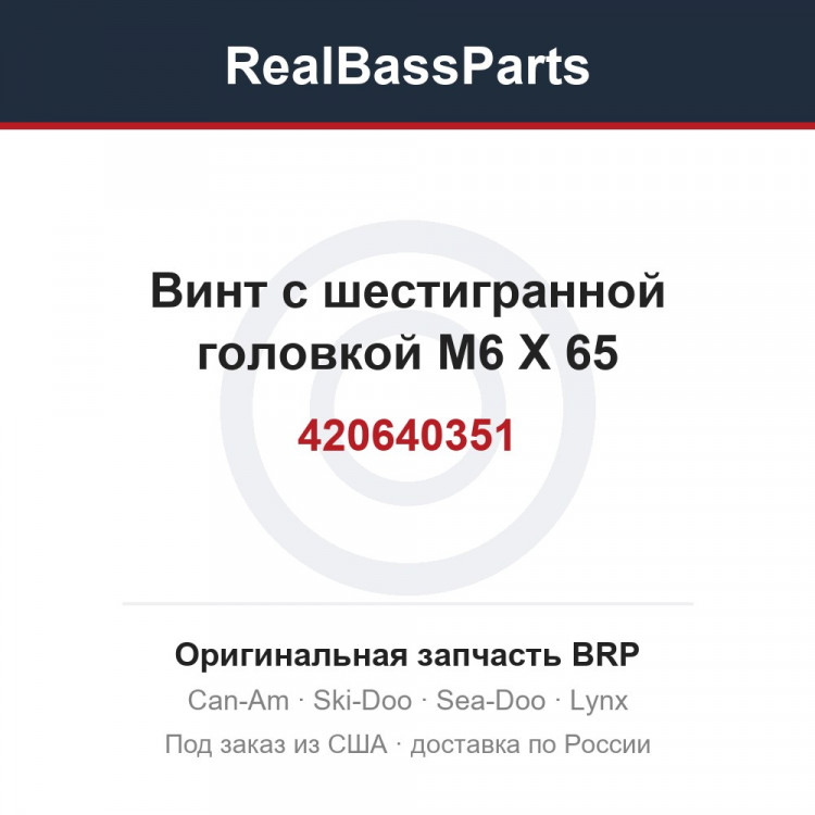 420640351 Винт с шестигранной головкой M6 X 65
