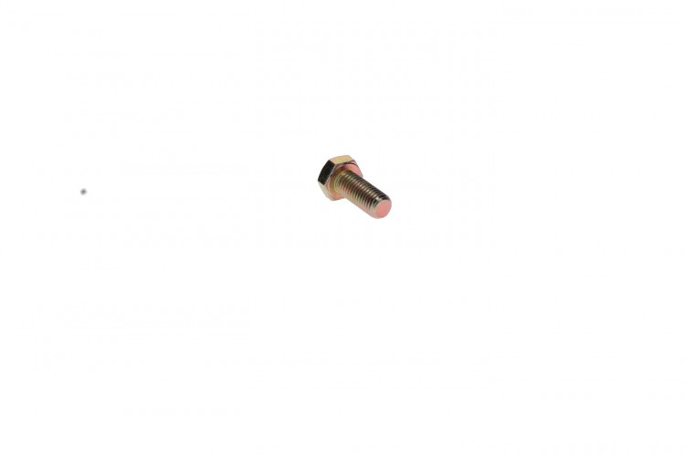 207102544 SCREW-HEX.CAP ISO.4017 Болт M10 X 25