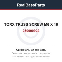 250000922 TORX TRUSS SCREW M6 X 16
