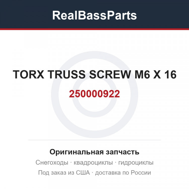 250000922 TORX TRUSS SCREW M6 X 16