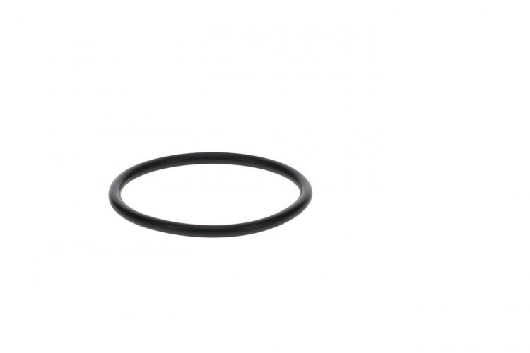 293300201 O-RING