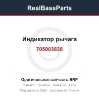 705003838 Индикатор рычага
