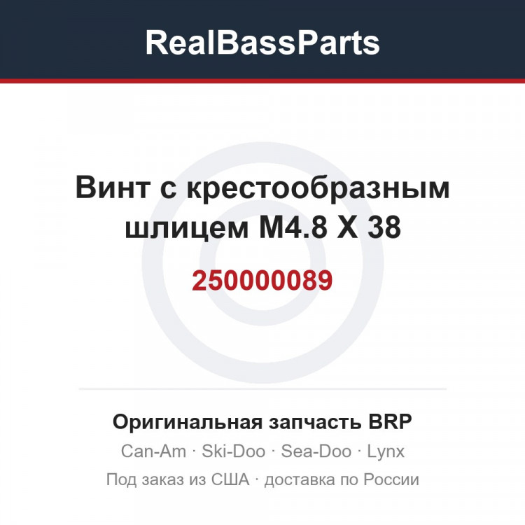 250000089 Винт с крестообразным шлицем M4.8 X 38