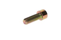 205003044 SCREW-SOCKET HD.DIN.912  Болт M10 x 30