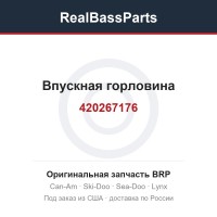 420267176 Впускная горловина