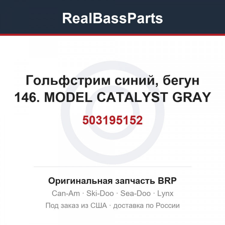 503195152 Гольфстрим синий, бегун 146. MODEL CATALYST GRAY