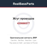 420666577 Жгут проводов