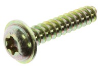 250000949 SCREW PT K60 X 30