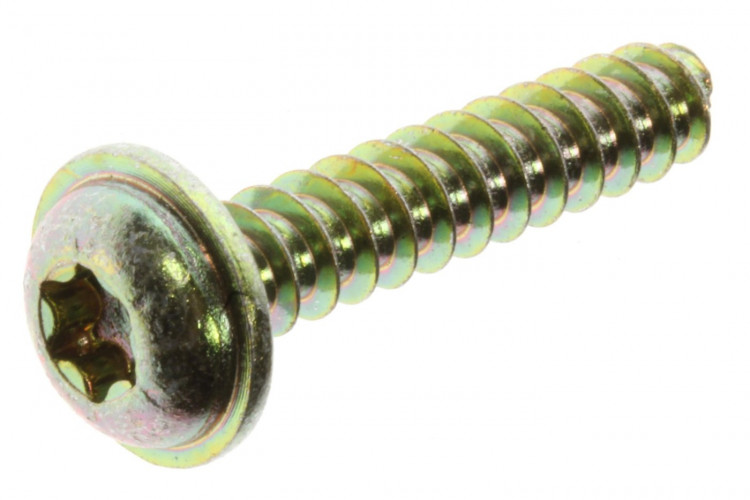 250000949 SCREW PT K60 X 30