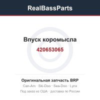 420653065 Впуск коромысла