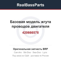 420666578 Базовая модель жгута проводов двигателя