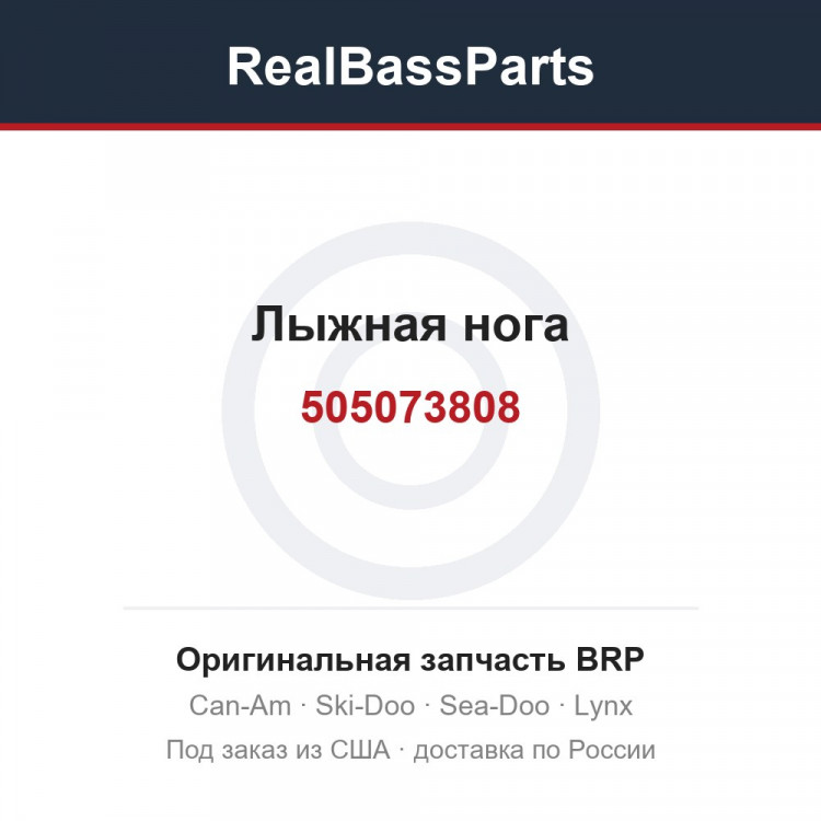 505073808 Лыжная нога