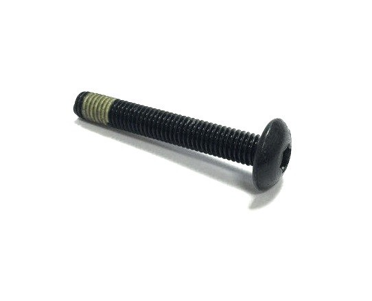 250000535 TORX-TRUSS M/S BZN 3M-2353Y M8X55