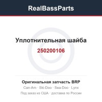 250200106 Уплотнительная шайба