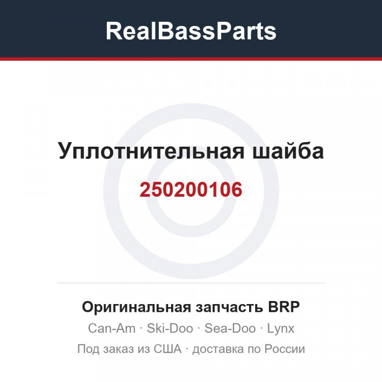 250200106 Уплотнительная шайба