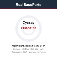 715006137 Сустав