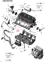 Цилиндр блок с Sleeves включает 1 to 9 Sea-Doo RXT-X 260 RS (2012) (420892461)