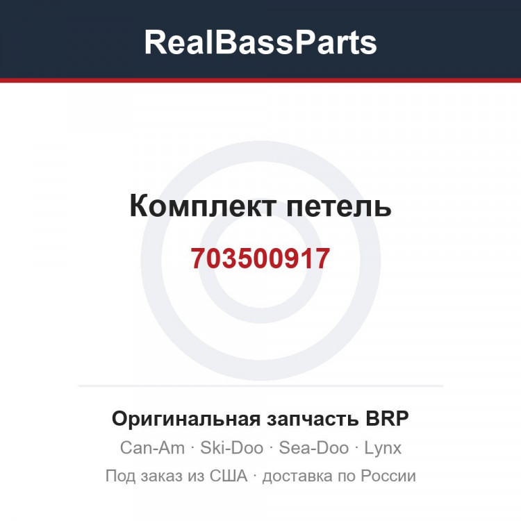 703500917 Комплект петель