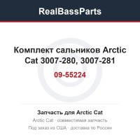 Комплект сальников Arctic Cat 09-55224 3007-280, 3007-281