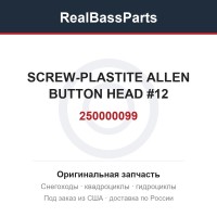 250000099 SCREW-PLASTITE ALLEN BUTTON HEAD #12