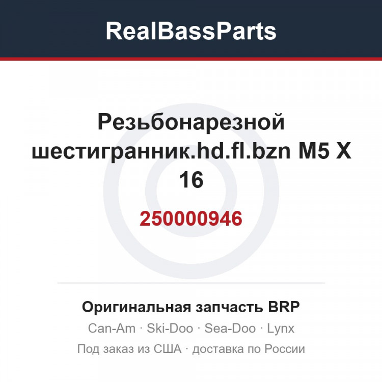 250000946 Резьбонарезной шестигранник.hd.fl.bzn M5 X 16