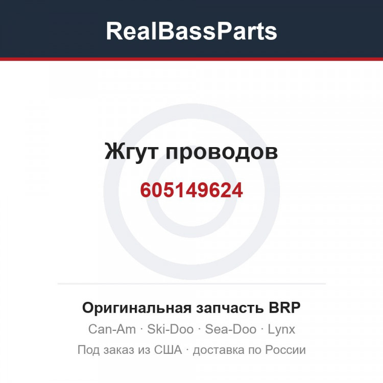 605149624 Жгут проводов