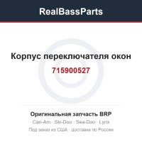 715900527 Корпус переключателя окон