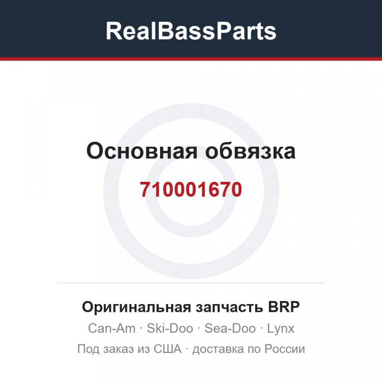 710001670 Основная обвязка