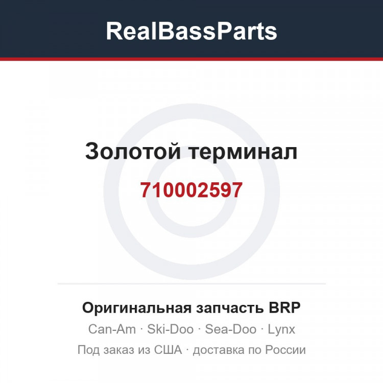 710002597 Золотой терминал