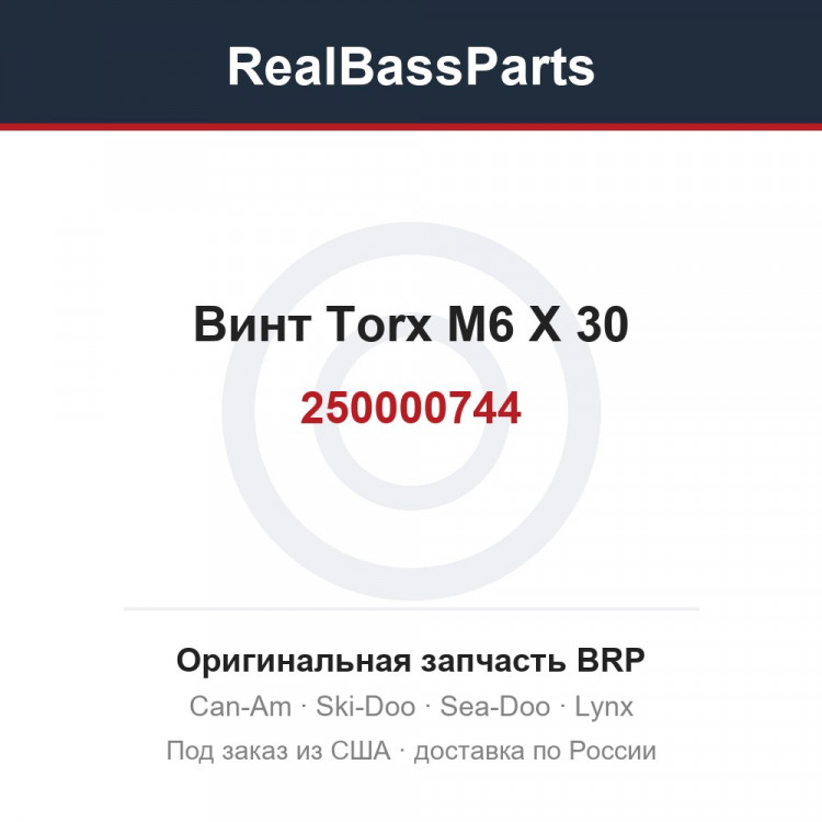 250000744 Винт Torx M6 X 30