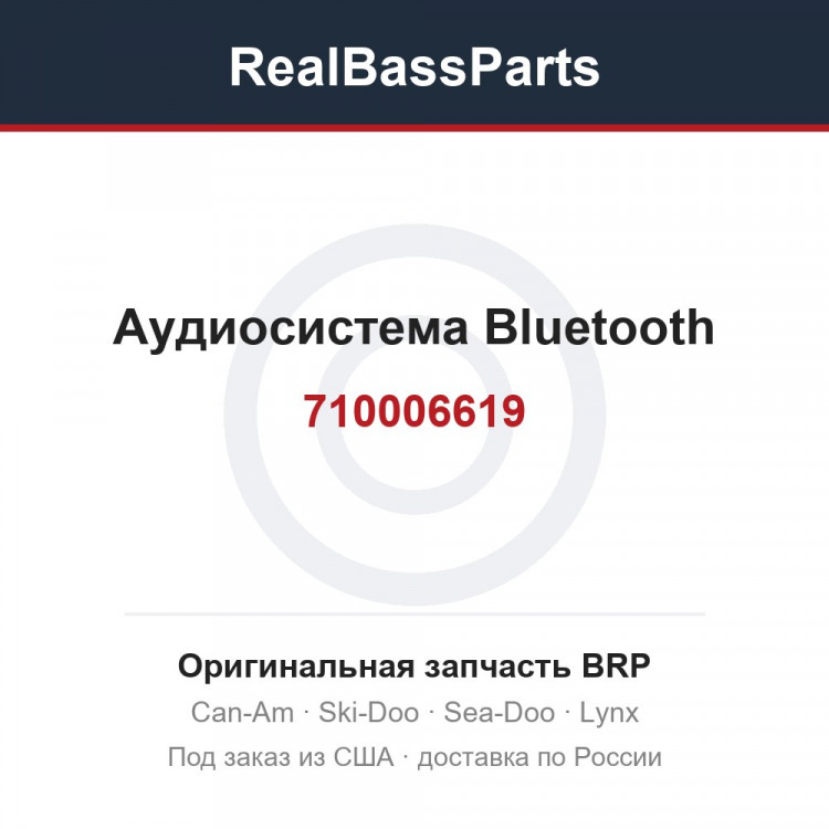 710006619 Аудиосистема Bluetooth