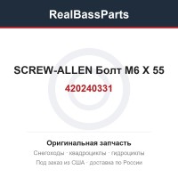 420240331 SCREW-ALLEN  Болт M6 X 55
