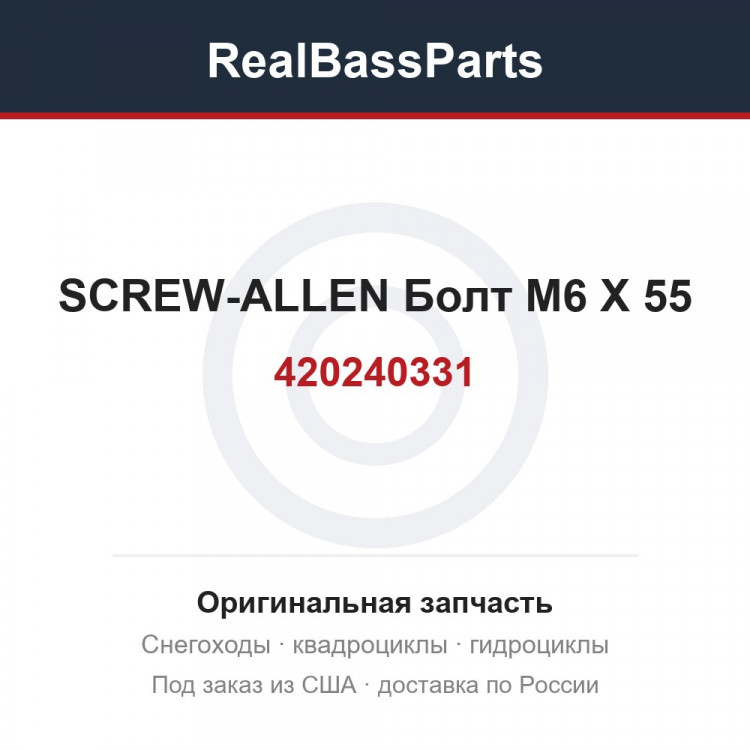420240331 SCREW-ALLEN  Болт M6 X 55
