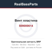 509000614 Винт пластина