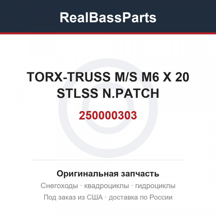 250000303 TORX-TRUSS M/S M6 X 20 STLSS N.PATCH