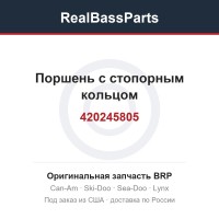 420245805 Поршень с стопорным кольцом