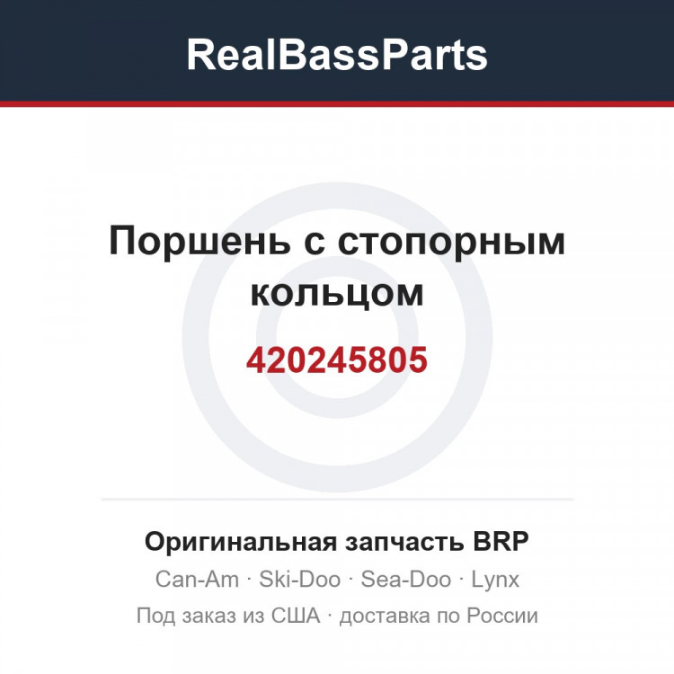 420245805 Поршень с стопорным кольцом