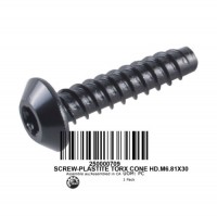 250001007 SCREW-PLASTITE TORX CONE HD.M6.81X30 Винт M6.81X30