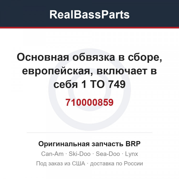 710000859 Основная обвязка в сборе, европейская, включает в себя 1 TO 749