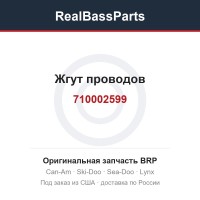 710002599 Жгут проводов