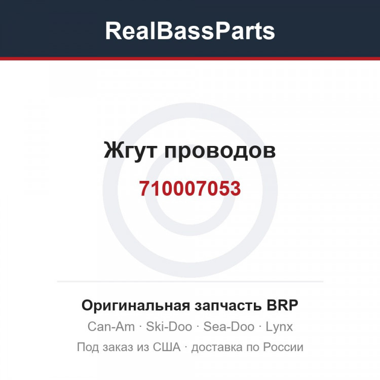 710007053 Жгут проводов