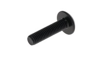 250000284 TORX-TRUSS M/S M6 X 25 GM6047M  Болт с шестигранной головкой, O 6 мм, для снегоболотоходов "Can-Am"