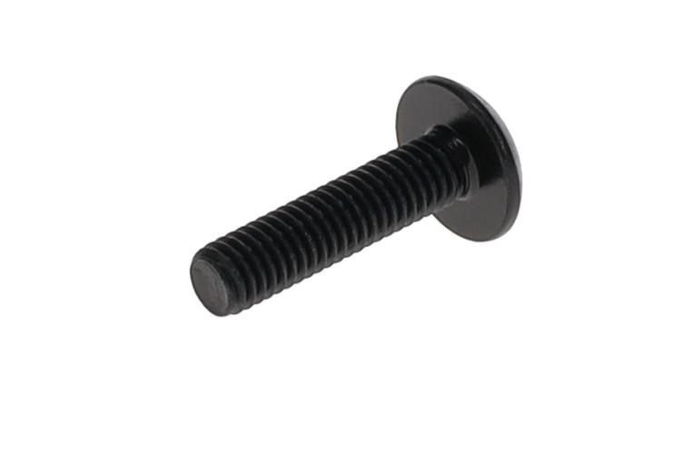 250000284 TORX-TRUSS M/S M6 X 25 GM6047M  Болт с шестигранной головкой, O 6 мм, для снегоболотоходов "Can-Am"
