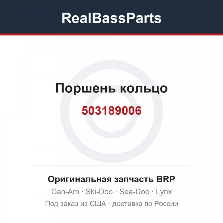 503189006 Поршень кольцо