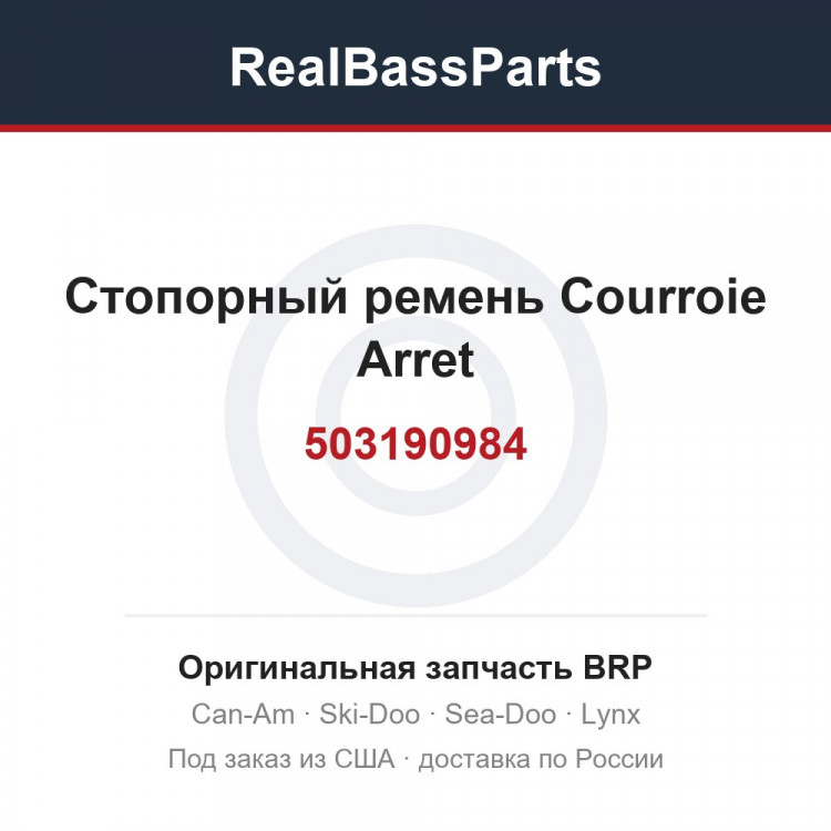 503190984 Стопорный ремень Courroie Arret