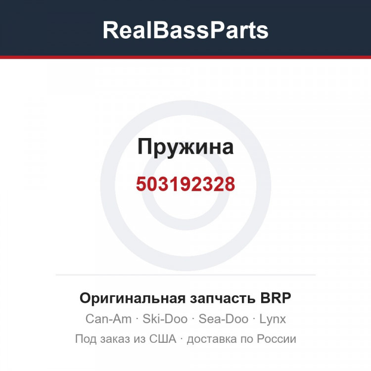 503192328 Пружина