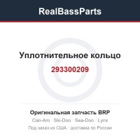 293300209 Уплотнительное кольцо