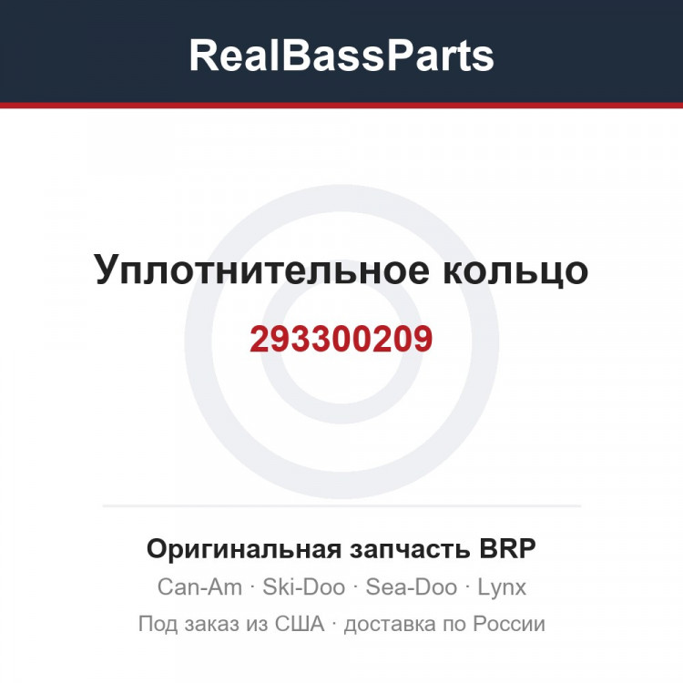 293300209 Уплотнительное кольцо
