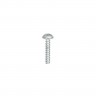 250000451 Саморез SCREW-PT.TORX FLANGE K40 X 20