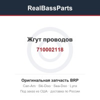 710002118 Жгут проводов